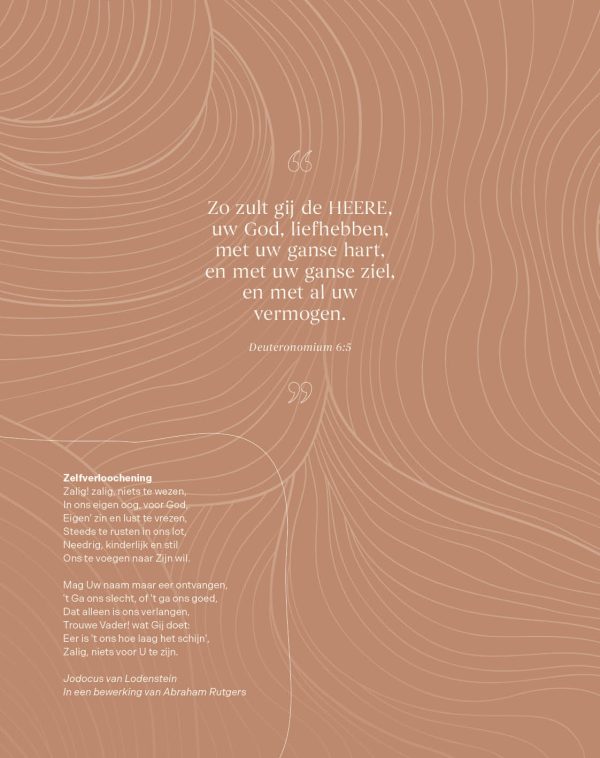 Licht - agenda 2026 - Afbeelding 9