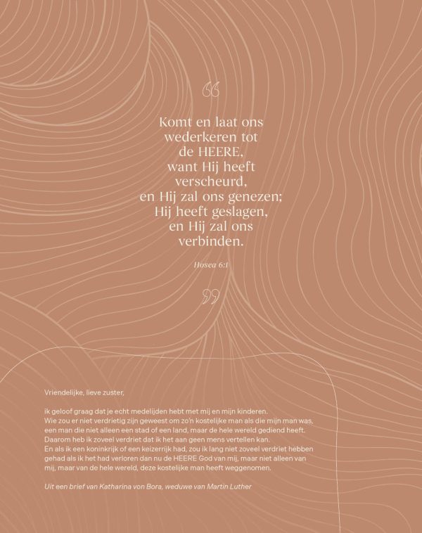 Licht - agenda 2026 - Afbeelding 10