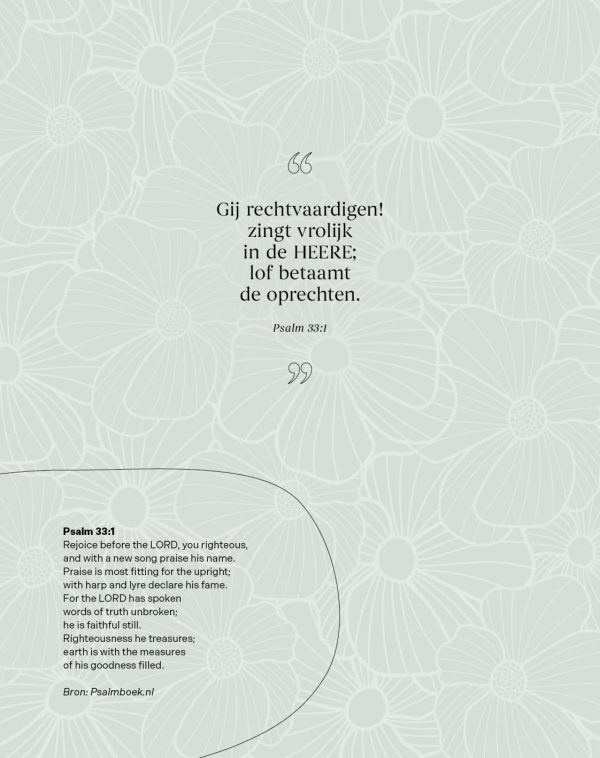 Licht - agenda 2026 - Afbeelding 4